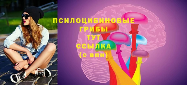 MESCALINE Няндома