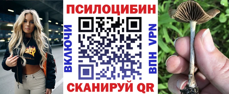 Псилоцибиновые грибы Cubensis  ОМГ ОМГ как зайти  Королёв 